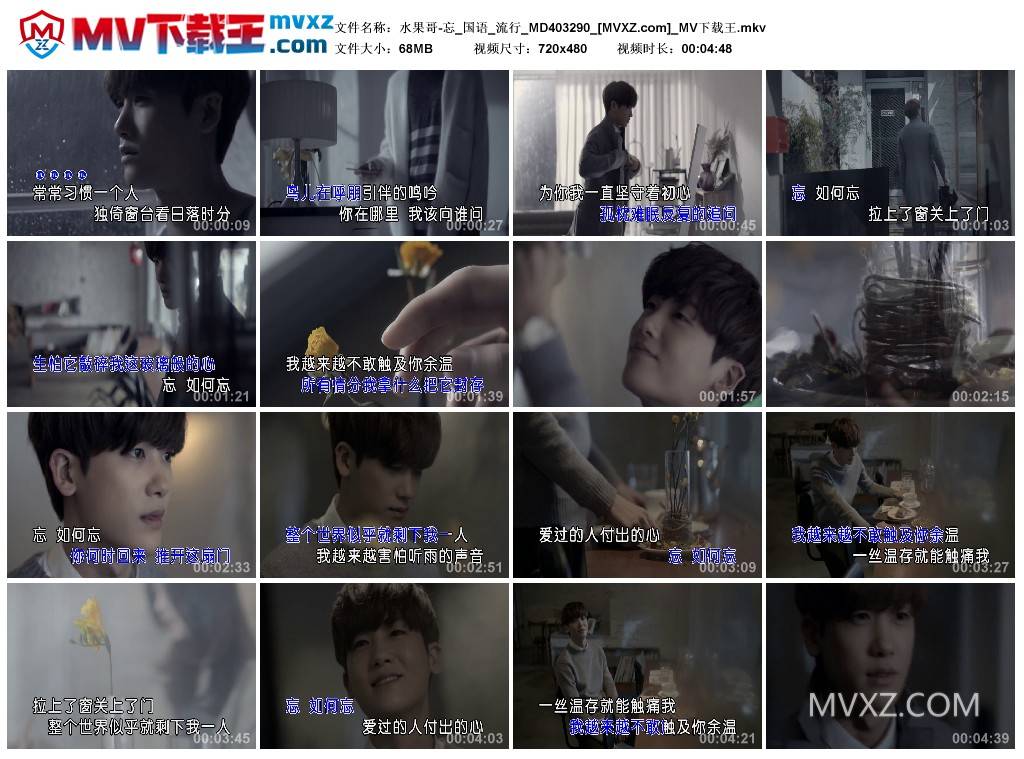 水果哥-忘_国语_流行_MD403290